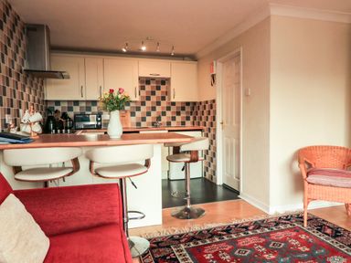 A kitchen with bar stools and a vase of flowers on the counter at Garden View in Hillhead near Brixham