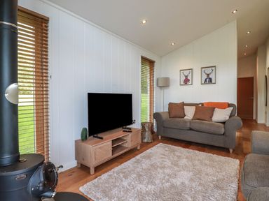 A living room with a gray sofa cushions wooden TV stand and a black wood-burning stove at 3 Hedgerows in Lanreath