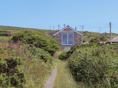 A narrow pathway through dense bushes and wildflowers leading to a small stone house with a large window at Little Victory in Pendeen