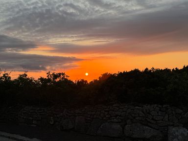 A sunset with the sun near the horizon behind bushes and a stone wall at Little Victory in Pendeen