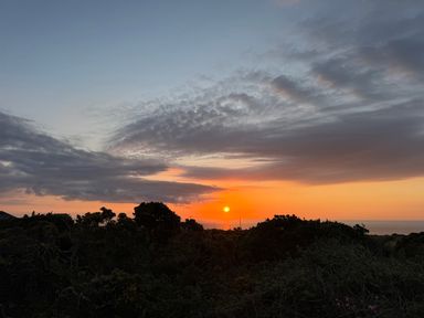 A sunset with orange and pink hues over trees and the ocean at Little Victory in Pendeen