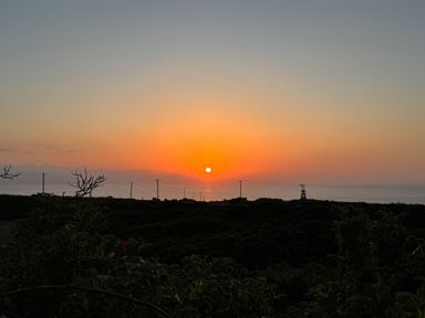 A sunset over the sea with silhouette of bushes and utility poles at Little Victory in Pendeen