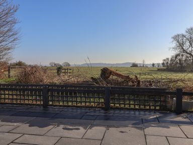 A paved patio area with a wooden lattice fence overlooking a field with trees and shrubs at Curlew Cottage in North Curry near Taunton