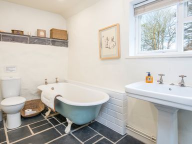 A bathroom with a toilet a blue clawfoot bathtub a white sink with soap on it and a window showing trees at Leeward Cottage in Cosheston near Pembroke Dock