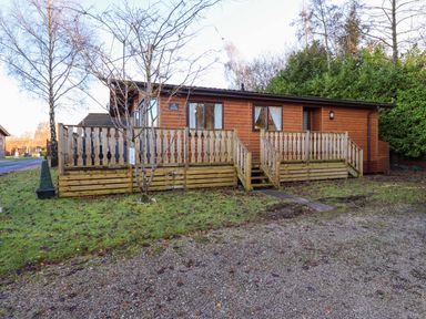 A wooden cabin with a fenced porch and steps surrounded by grass and trees at Lavender Lodge in South Lakeland Leisure Village