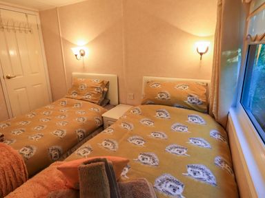 A bedroom with two single beds with hedgehog patterned bedding and a window at Lavender Lodge in South Lakeland Leisure Village