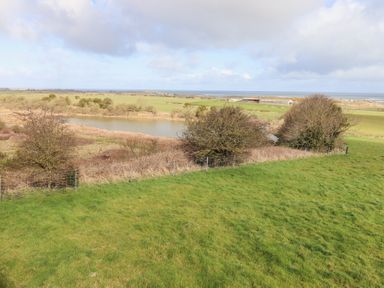 A grassy field with bushes and a small pond and distant buildings at Waters Edge in Embleton