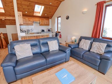 A living room with blue sofas and pillows near a wooden kitchen area with skylights at Dunstanburgh View in Embleton