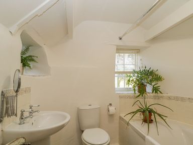 A bathroom with a sink, toilet, bathtub, and plants on a ledge and near a window at 3 Cumberland Cottages Ringmore