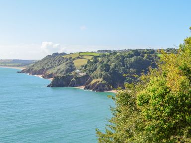 A coastal landscape with cliffs trees and the sea at 3 Cumberland Cottages in Ringmore