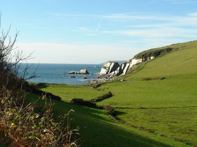 Green fields with fences leading to rocky coastline and ocean at 3 Cumberland Cottages in Ringmore