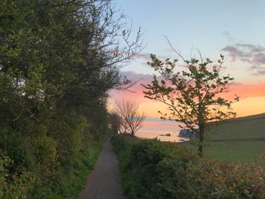 A narrow dirt path lined with bushes and trees leading towards a coastline at sunset at 3 Cumberland Cottages in Ringmore
