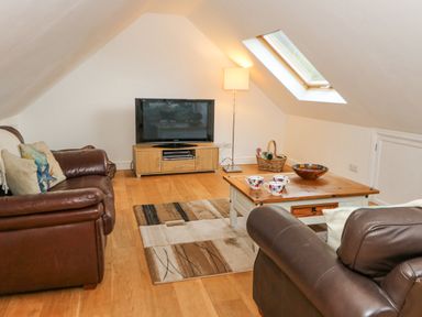 A living room with leather sofas a wooden coffee table and a television under a skylight at Trevone in Goodwick