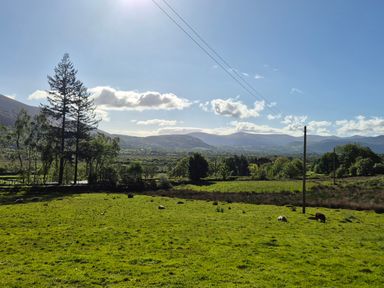A landscape with trees and sheep in a field near Thornthwaite near Braithwaite