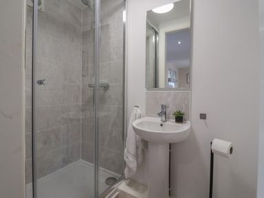 A bathroom with a glass shower enclosure a pedestal sink with a small plant and a towel and toilet paper at Providence Court Near Easingwold