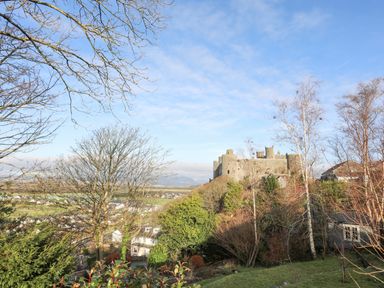 A landscape with a castle on a hill surrounded by trees and houses under a blue sky at Gwelfor in Harlech