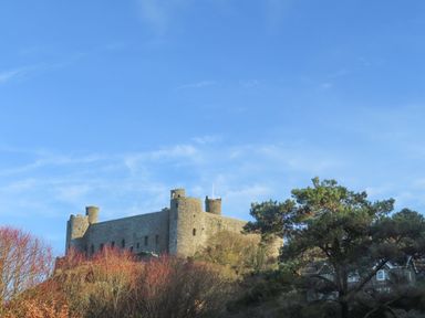 A stone castle with round towers on a hill with trees under a blue sky at Gwelfor in Harlech