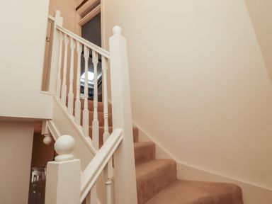 A carpeted staircase with white wooden banisters in a hallway at Primula Patch Akeld near Wooler