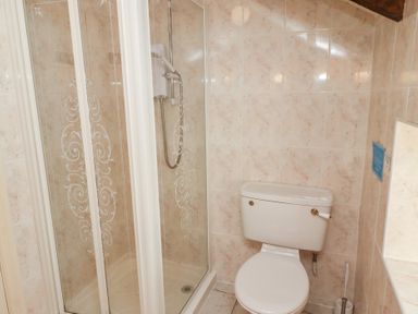 A bathroom with a shower enclosure and a toilet at Primula Patch in Akeld near Wooler