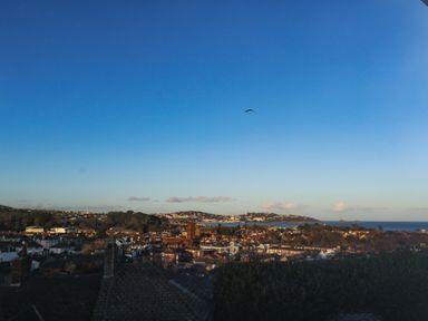 A town with houses trees and hills under a blue sky with a bird flying over at Hilltop Cottage in Paignton