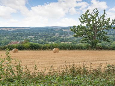 A harvested field with two hay bales a large tree and distant hills at Bears Court Barn 1 Little Rissington near Bourton-On-The-Water