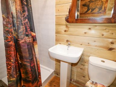 A bathroom with a shower area with a curtain a sink toilet and a wooden wall with a mirror at Bear Claw Lodge in Castlerock