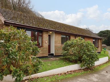 A single story wooden house with bushes in front at Castle View Lodge in Ilfracombe