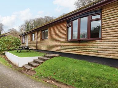 A wooden lodge exterior with windows picnic table on a grass area and concrete steps leading to a path at Castle View Lodge in Ilfracombe