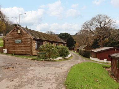 A group of wooden lodges along a paved road with green grass and trees at Castle View Lodge in Ilfracombe