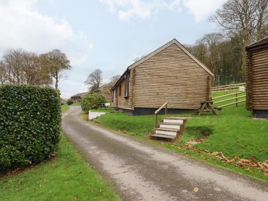 A paved pathway with wooden lodges on the right and greenery on the left at Castle View Lodge in Ilfracombe
