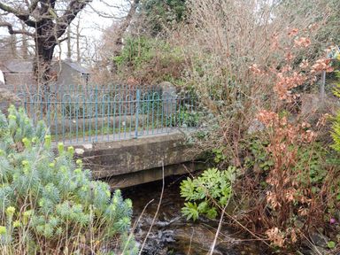 A small stone bridge over a stream with metal railings surrounded by various plants and trees at Riverwash Cottage in Dwygyfylchi