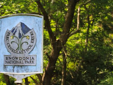 A sign for Snowdonia National Park with a mountain and flowers in a wooded area at Riverwash Cottage in Dwygyfylchi