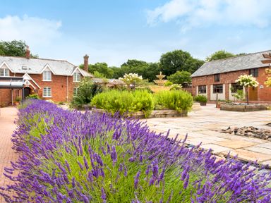An outdoor courtyard with lavender plants water fountain and brick buildings at Mill Cottage in Aylesbeare
