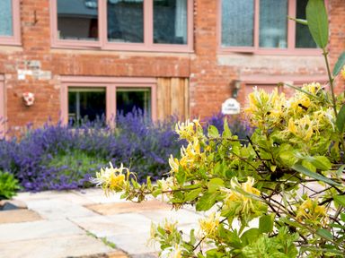Yellow flowers and purple plants in front of a brick building with pink framed windows at Mill Cottage in Aylesbeare