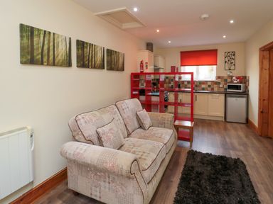 A living area with a patterned sofa a black rug and a red shelving unit near a kitchen with tiled backsplash and a window with a red blind at Stable Cottage in Cottonshopeburnfoot near Otterburn
