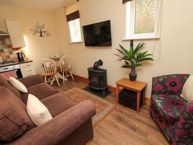 A living room with a brown sofa, a floral armchair, a small wooden table with a plant, a wall-mounted TV, a small stove, and a dining area with two chairs at Fir Tree Cottage in Cottonshopeburnfoot near Otterburn