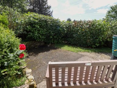A garden with a bench and a rose at Fir Tree Cottage near Cottonshopeburnfoot