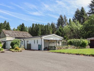 An outdoor view of a house with trees and a driveway at Fir Tree Cottage in Cottonshopeburnfoot near Otterburn