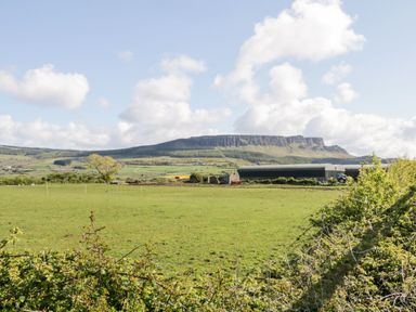 A green field with bushes in the foreground a tree buildings and a mountain in the background at Whiskey Creek Cabin in Castlerock