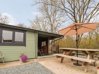 An outdoor patio area with a wooden picnic table and umbrella next to a green wooden cabin at Mill Cabin Denant in Haverfordwest