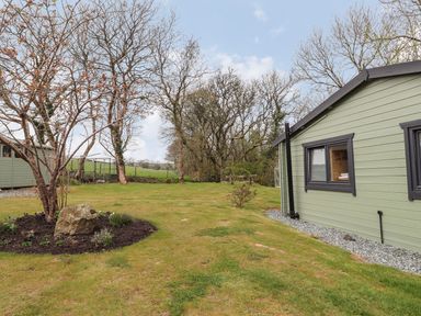 A yard with a tree and shrubbery next to a green wooden cabin at Mill Cabin Denant in Haverfordwest