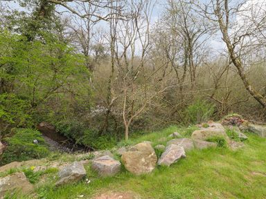 A small creek surrounded by trees and grass with a line of rocks in the foreground at Mill Cabin Denant in Haverfordwest