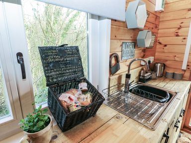 A kitchen area with a sink drying rack a picnic basket with food items and a potted plant on the counter at Mill Cabin Denant in Haverfordwest