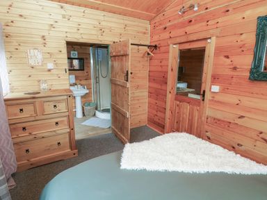A bedroom with a wooden dresser a door to a bathroom with a shower and a door with a window at Mill Cabin Denant in Haverfordwest