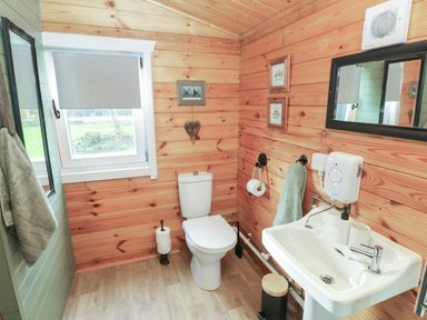 A bathroom with a toilet sink mirror and wooden walls at Mill Cabin Denant in Haverfordwest
