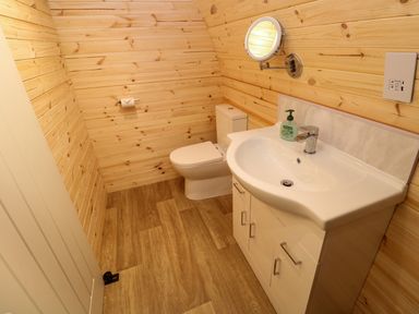 A small bathroom with wooden walls and floor a white toilet and white sink cabinet with a soap dispenser and a wall-mounted mirror at Audrey in Penzance near Newlyn