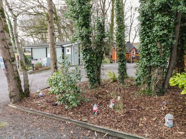 An outdoor area with trees covered in ivy garden gnome decorations and buildings in the background at Mill View in Dungiven Londonderry