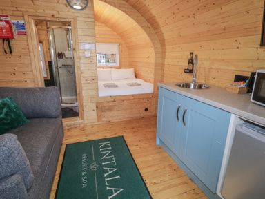 A small wooden cabin interior with a bed, shower, grey sofa, blue kitchenette, and a green floor mat at Juniper in Dungiven Londonderry