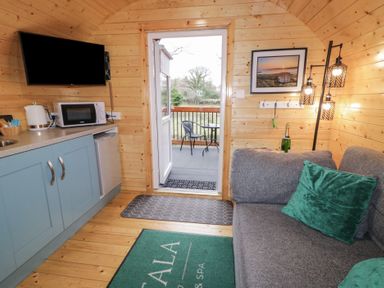 A small wooden cabin interior with a kitchenette including microwave and kettle a gray sofa with green cushions a door leading to a balcony with chairs and a table Birch Dungiven Londonderry