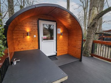 A wooden pod with a white door and bench under curved roof surrounded by trees at Elm in Dungiven Londonderry